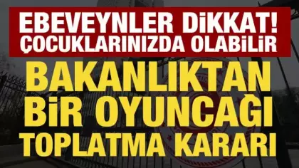 Dikkat! Çocuklarınızda olabilir: Bakanlıktan 'peluş kaz' oyuncağını toplatma kararı