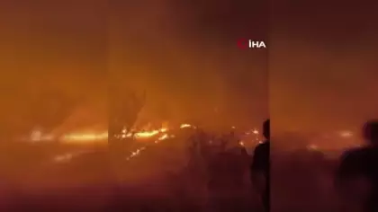 Diyarbakır’da orman yangını: Alevler yerleşim yerine ilerliyor