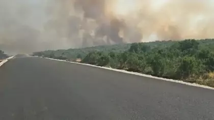 Diyarbakır'da orman yangını