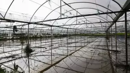 Doğal afetler ilk 6 ayda yaklaşık 900 bin dekar tarım alanına zarar verdi
