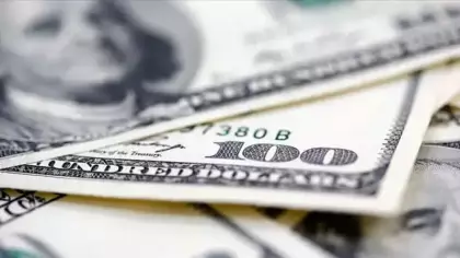 Dolar endeksi son 13 ayın zirvesinde