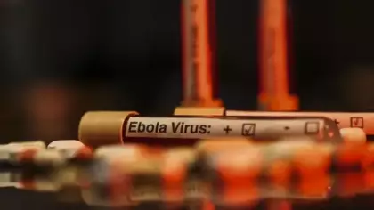 Ebola alarmı büyüyor! DSÖ’den korkutan uyarı: Risk çok yüksek