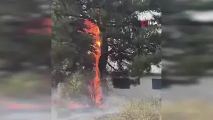 Feke’de orman yangını: Helikopter ile müdahale ediliyor