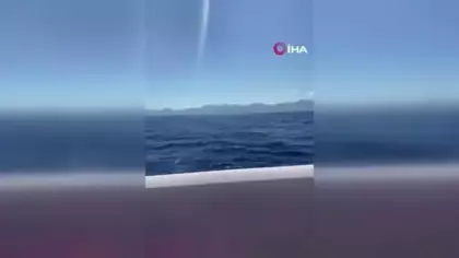 Feribot faciasında gençlerin ölüm kalım mücadelesi: 