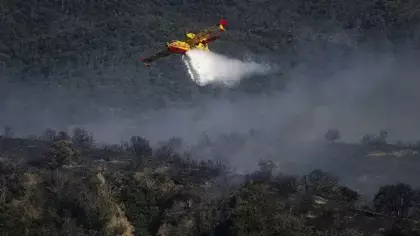 Fransa'da orman yangını çıkaran 59 kişi gözaltına alındı