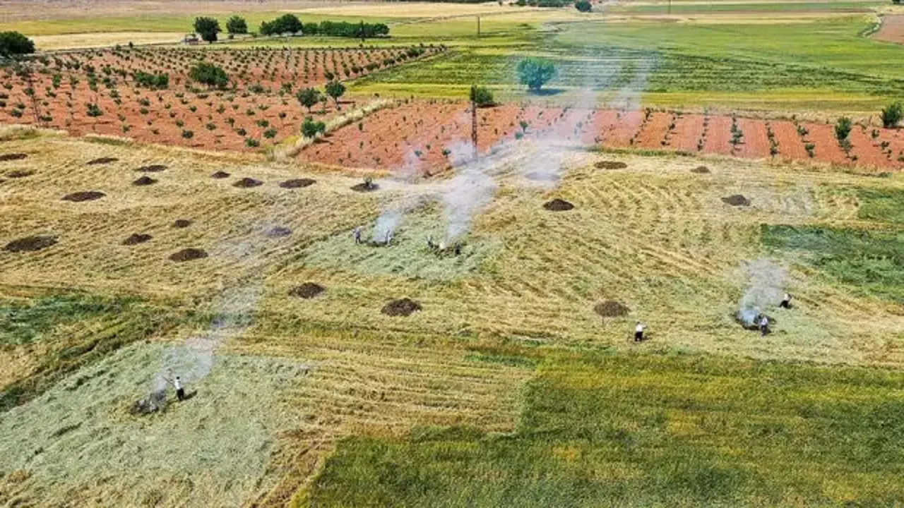 Gaziantep'te coğrafi işaretli 