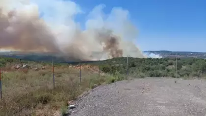Gebze'de orman yangını