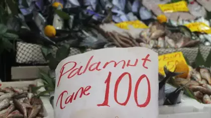Geçen yılki palamut hasreti bitti: Rakamı duyan vatandaş akın etti