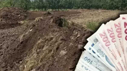 Günlük 5 bin liraya işçi bulamıyorlar! Çiftçiler zorlanıyor