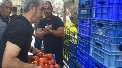Halde alıcı bulamadı, 4 ton domatesi ücretsiz dağıttı!