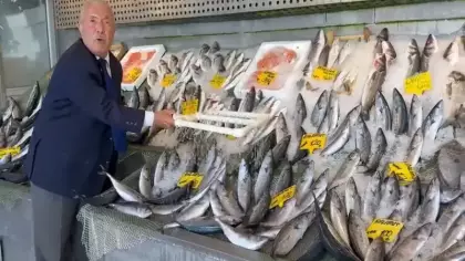 Hamsi ve palamut tezgahları doldurdu! 3 yıldır fiyatları değişmiyor