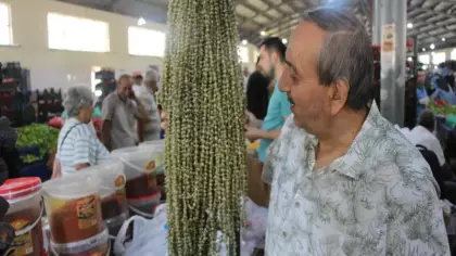 Hızır'ın cebinden düşen şifa kaynağı: 100 gramı 300 TL'den satılıyor