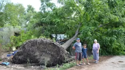 Hortum dakikalar içinde yıktı geçti: Antalya'da ağır bilanço!