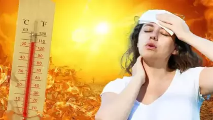 İspanya'da acı bilanço: 1029 kişi can verdi