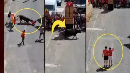 İspanya'da kızgın boğanın saldırısı genci nakavt etti