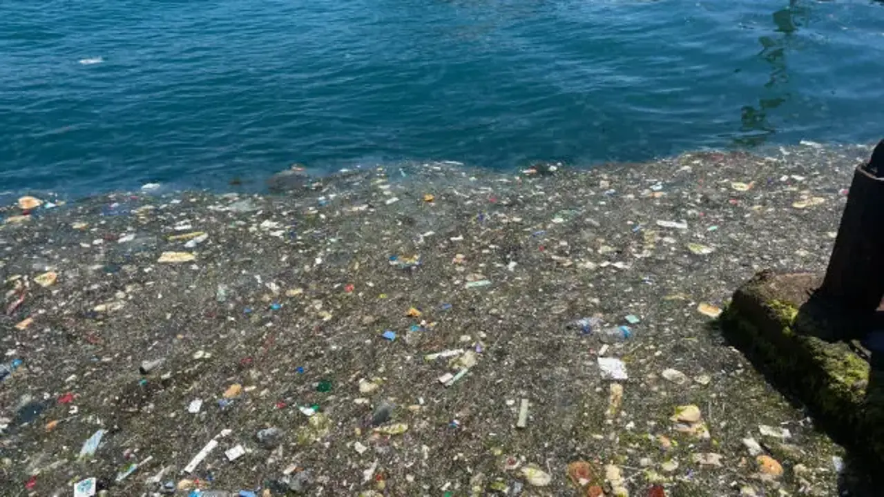İstanbul Boğazı'nda 'pes' dedirten manzara: Sahile gelenler şoke oldu!
