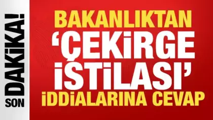 İstanbul'daki çekirgeler istilacı değil yerli çıktı: Biyolojik dengeye katkı sağlıyorlar