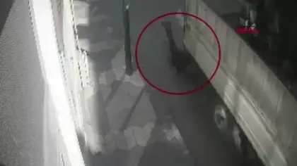 Kamyonetin kasasında seyahat eden şahıs yaralandı