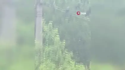 Karabük'te karganın 