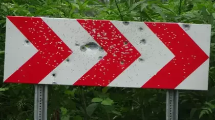 Karadeniz yollarındaki sessiz tehlike: Yasağı hiçe saydılar!