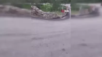 Karadeniz zekası sınır tanımadı: Dev konteyneri dik yamaçtan geri vitesle taşıdı
