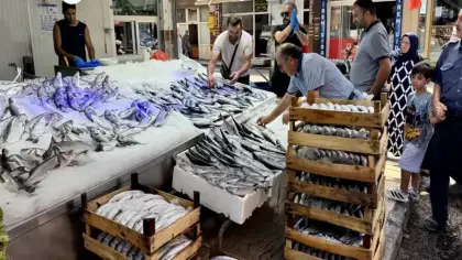 Karadeniz'de palamut bolluğu: Fiyatların daha da düşmesi bekleniyor