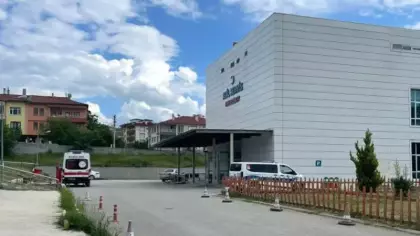 Kastamonu’da acı olay! Arı sokan orman işçisi hayatını kaybetti