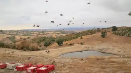 Keneyle mücadelede beklenen hamle: Keklikler göreve başladı