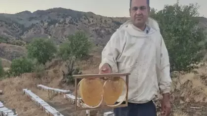 Kilosu 2 bin 200 lira! Bal fiyatları belli oldu