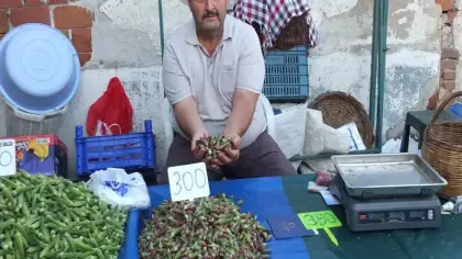 Kilosu 300 liraya çıktı çiftçinin yüzü güldü: 