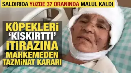 Kırşehir'de köpek saldırısına uğrayan 63 yaşındaki kadına tazminat ödenecek
