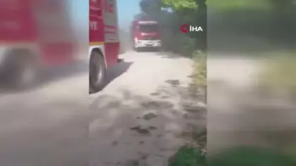 Kocaeli'de otomobil dereye uçtu: Sürücü hayatını kaybetti