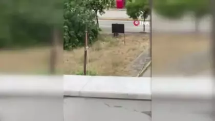 Kocaeli'de yeğen dehşeti: Tartıştığı amcasını palayla öldürdü!