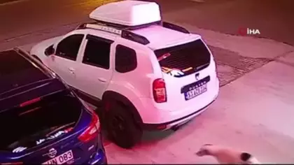 Köpeğe çarpmamak için yaptığı manevra hayatına mal oldu