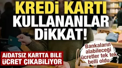 Kredi kartı kullananlar dikkat! Aidatsız kartta bile ücret çıkabiliyor: İşte sınırlar