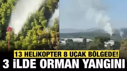 Manavgat'ta orman yangını: 75 personel bölgede!