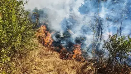 Manisa'da yol kenarında çıkan yangın, ormana sıçradı