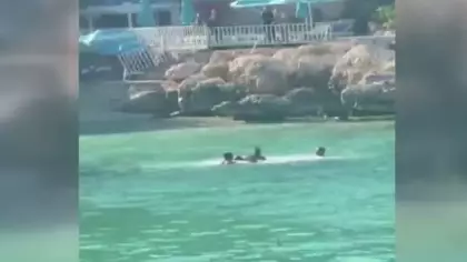 Mersin'de denizin ortasında sopalı kavga: O anlar kamerada