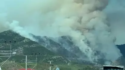 Mersin'de orman yangını! Müdahale devam ediyor