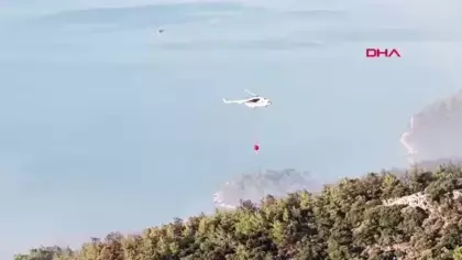 Milas'taki orman yangını 2'nci gününde!