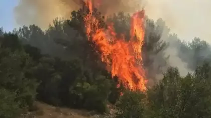Muğla'da çıkan orman yangınına müdahale ediliyor