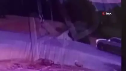 Muğla'da motosiklet sürücüsünün can verdiği feci kaza kamerada