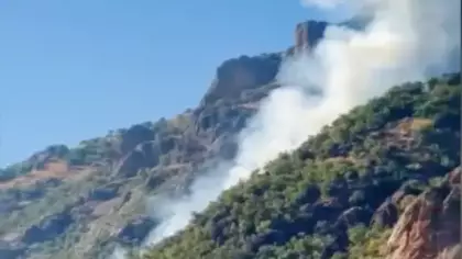 Munzur Vadisi Milli Parkı'nda orman yangını