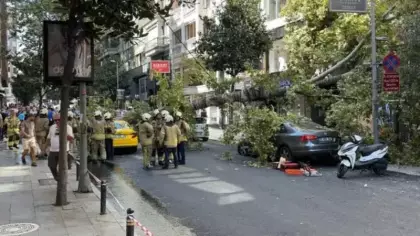 Nişantaşı’nda çınar ağacı iki aracın üzerine devrildi
