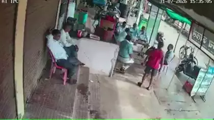 Öfkeli yaban domuzu  çay ocağına daldı