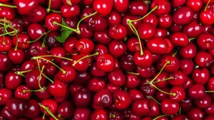 Ölüm nedenleri tam olarak bilinmiyor: En son bahçe kirazı yemişlerdi