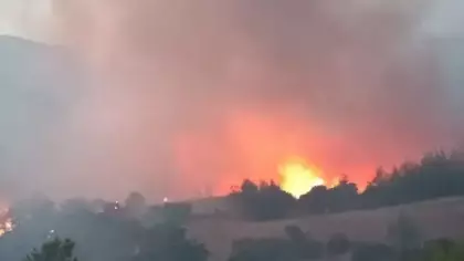 Osmaniye'de orman yangını! 50 dekar alan zarar gördü