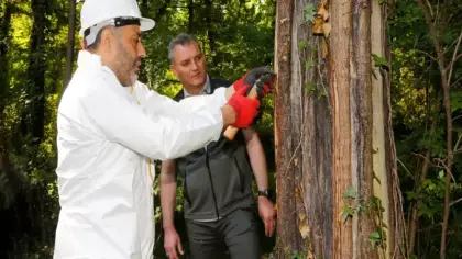 Osmanlı ordusunun şifa sırrı: 2026 sezonu açıldı! Küçük şişesi 2 bin TL’ye alıcı buluyor