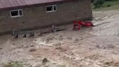 Sağanak sonrası mahalleyi su bastı