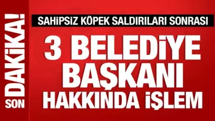Sahipsiz köpek saldırıları sonrası 3 belediye başkanı hakkında işlem